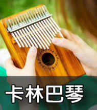 卡林巴姆指琴 卡林巴姆指琴