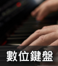 數位鍵盤樂器 數位鍵盤樂器
