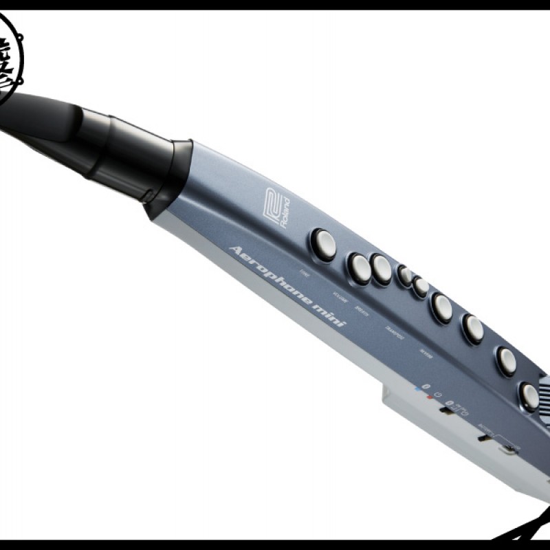 Roland Aerophone mini 最容易玩的數位吹管 (AE-01) by www.bdrum.com.tw Roland Aerophone mini 最容易玩的數位吹管 (AE-01) 【美鼓打擊】