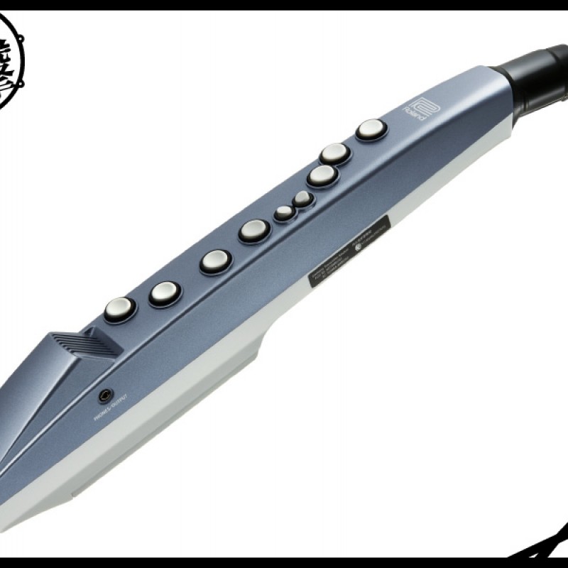 Roland Aerophone mini 最容易玩的數位吹管 (AE-01) by www.bdrum.com.tw Roland Aerophone mini 最容易玩的數位吹管 (AE-01) 【美鼓打擊】