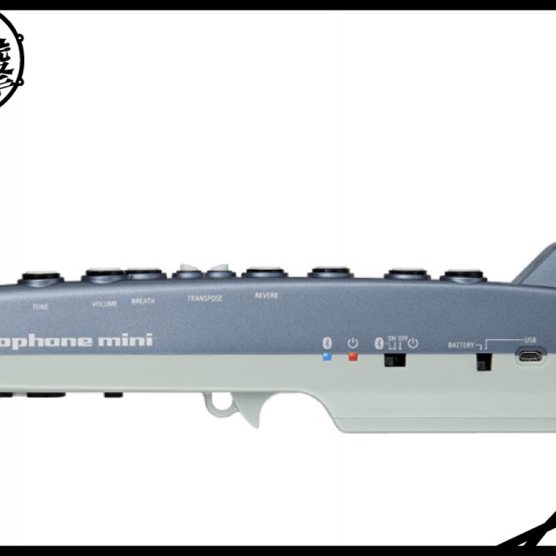 Roland Aerophone mini 最容易玩的數位吹管 (AE-01) by www.bdrum.com.tw Roland Aerophone mini 最容易玩的數位吹管 (AE-01) 【美鼓打擊】