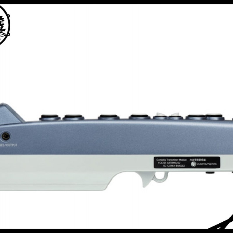 Roland Aerophone mini 最容易玩的數位吹管 (AE-01) by www.bdrum.com.tw Roland Aerophone mini 最容易玩的數位吹管 (AE-01) 【美鼓打擊】