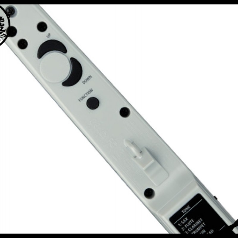 Roland Aerophone mini 最容易玩的數位吹管 (AE-01) by www.bdrum.com.tw Roland Aerophone mini 最容易玩的數位吹管 (AE-01) 【美鼓打擊】