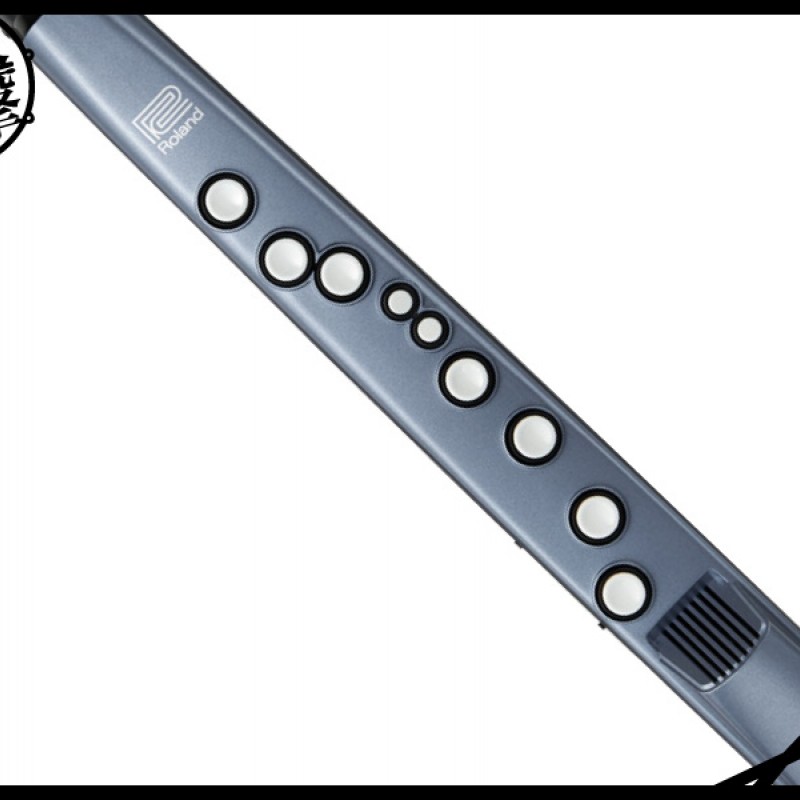 Roland Aerophone mini 最容易玩的數位吹管 (AE-01) by www.bdrum.com.tw Roland Aerophone mini 最容易玩的數位吹管 (AE-01) 【美鼓打擊】
