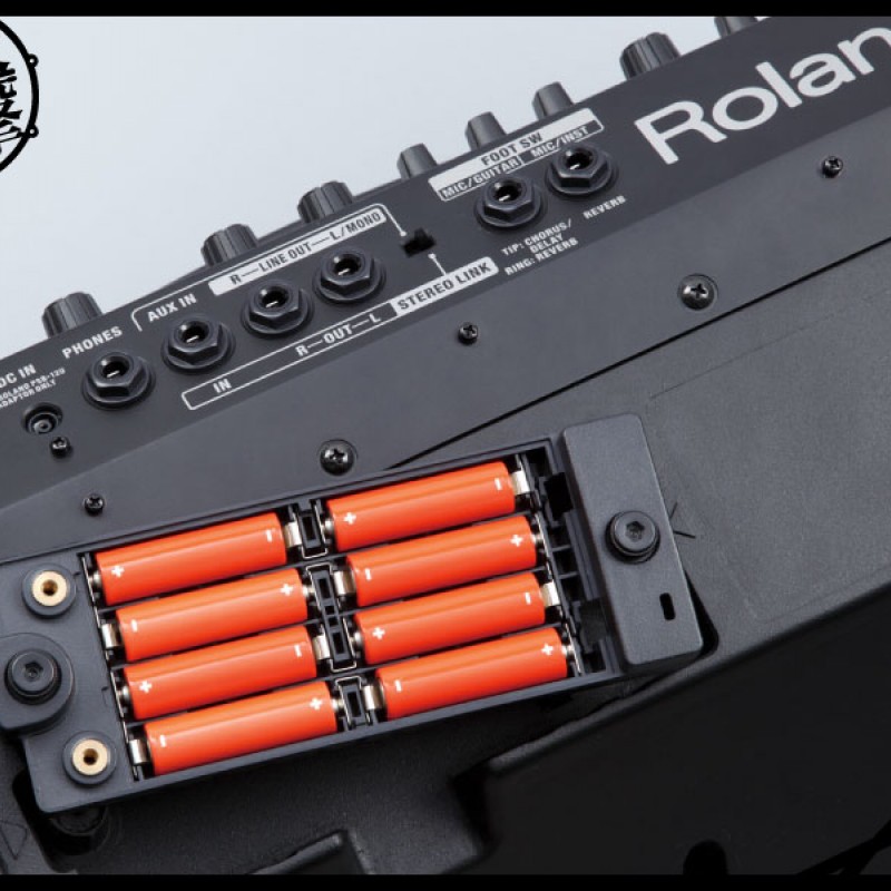 Roland CUBE Street EX 隨身音箱 (cube-stex) by www.bdrum.com.tw Roland CUBE Street EX 隨身音箱 (cube-stex) 【美鼓打擊】